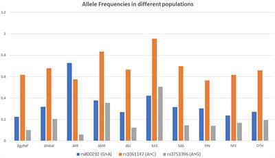 Genetic analysis of CFH and MCP in Egyptian patients with immune-complex proliferative glomerulonephritis